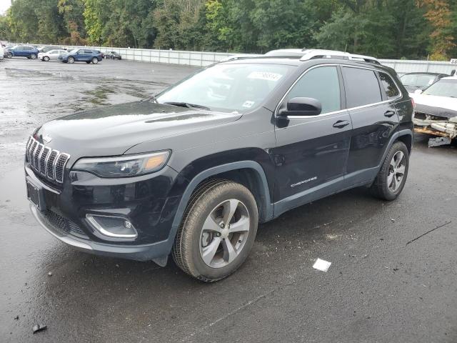 JEEP CHEROKEE L 2019 with VIN 1C4PJMDX0KD442377 - Photo from auction