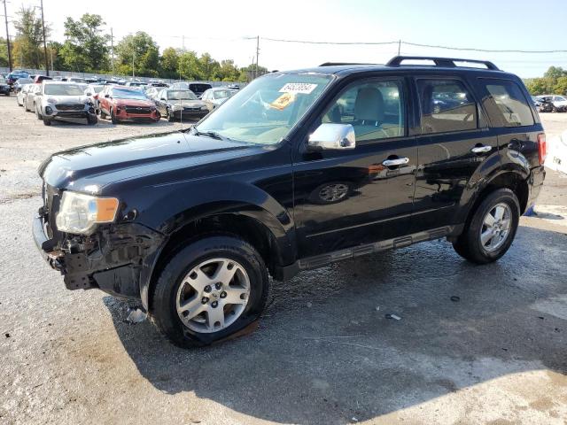 FORD ESCAPE XLT 2012 with VIN 1FMCU9DG5CKB75717 - Photo from auction