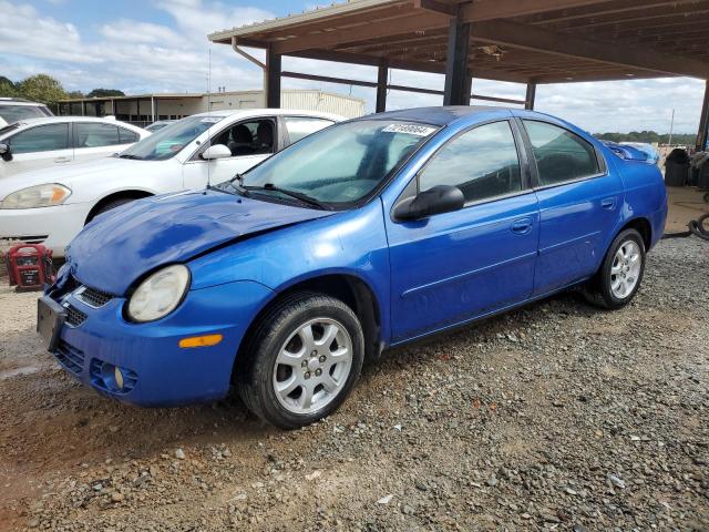 DODGE NEON SXT 2005 с VIN 1B3ES56CX5D240706 - Фото с аукциона