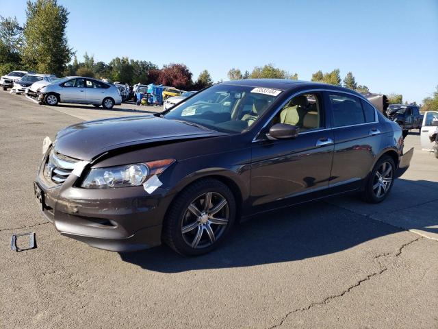 HONDA ACCORD EXL 2011 with VIN 1HGCP3F88BA019546 - Photo from auction