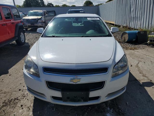 Photo 5 from auction – 2010 CHEVROLET MALIBU 1LT with VIN 1G1ZC5EB4AF249706