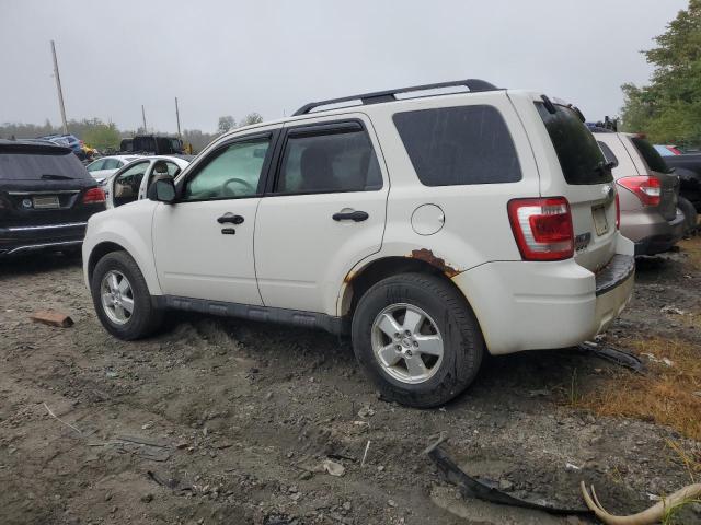 Photo 2 from auction – 2009 FORD ESCAPE XLT with VIN 1FMCU93G49KA13734