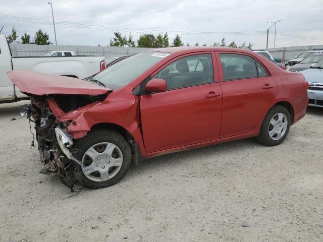 TOYOTA COROLLA BA 2009 with VIN 2T1BU40EX9C185824 - Photo from auction