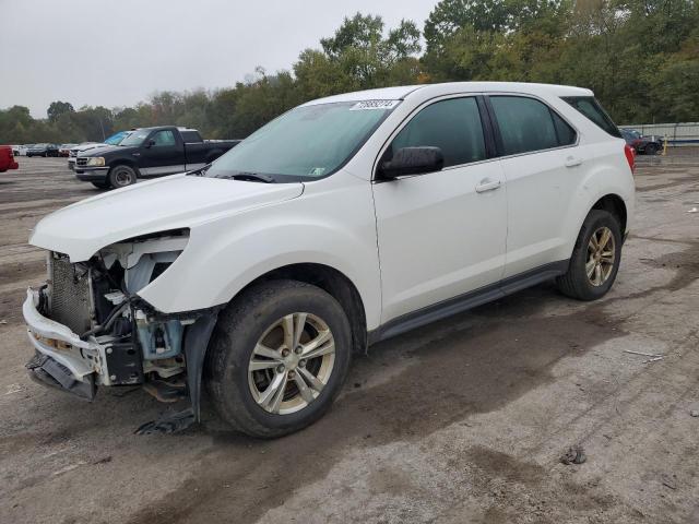 CHEVROLET EQUINOX LS 2016 with VIN 2GNFLEEK6G6254006 - Photo from auction