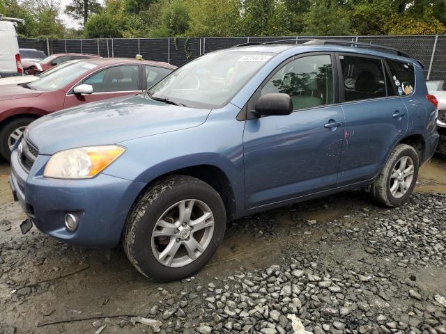 TOYOTA RAV4 2012 with VIN 2T3BF4DV3CW249204 - Photo from auction