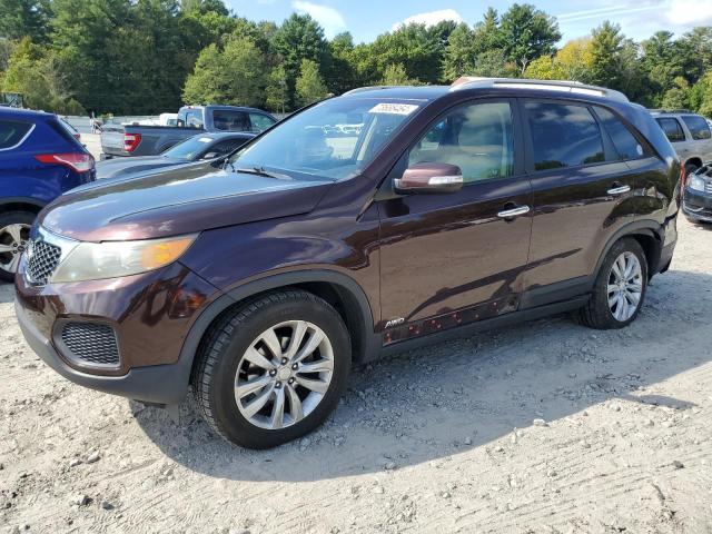 KIA SORENTO BA 2011 with VIN 5XYKTDA28BG079325 - Photo from auction