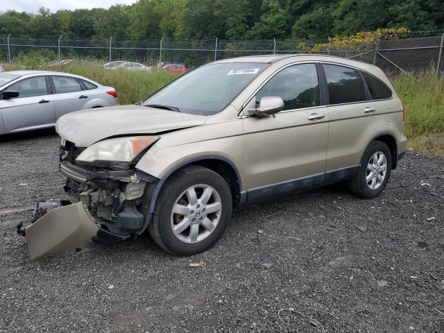 Photo 1 from auction – 2008 HONDA CR-V EX with VIN 5J6RE48758L007645