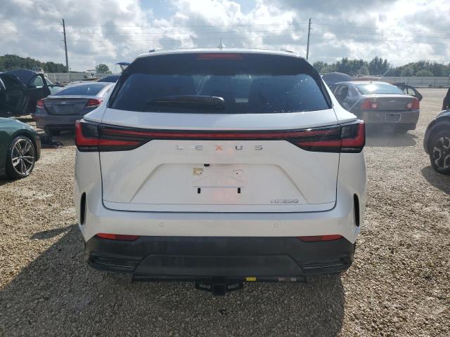 Photo 6 from auction – 2023 LEXUS NX 250 with VIN JTJGDCAZ2P5009827