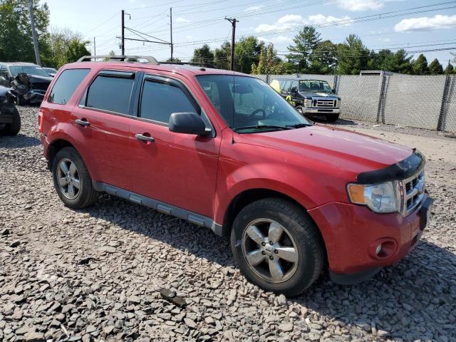 Photo 4 from auction – 2011 FORD ESCAPE XLT with VIN 1FMCU0DG6BKC17189