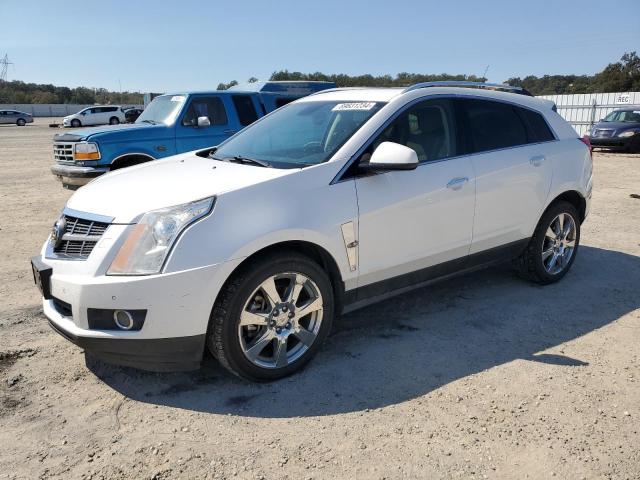 CADILLAC SRX PREMIU 2012 with VIN 3GYFNFE32CS619434 - Photo from auction