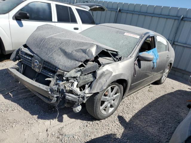 NISSAN MAXIMA SE 2004 with VIN 1N4BA41E24C869992 - Photo from auction