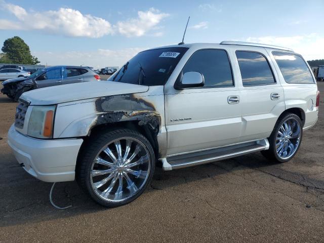 CADILLAC ESCALADE L 2003 with VIN 1GYEC63T73R253509 - Photo from auction