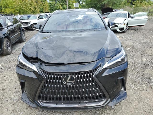 Photo 5 from auction – 2025 LEXUS NX 350 BAS with VIN 2T2AGCEZ4SC063101