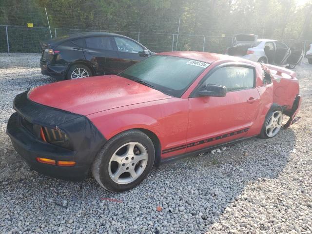 FORD MUSTANG 2005 with VIN 1ZVFT80N155171861 - Photo from auction