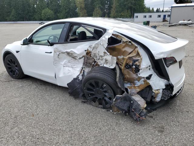 Photo 2 from auction – 2024 TESLA MODEL Y with VIN 7SAYGDEE1RF083241