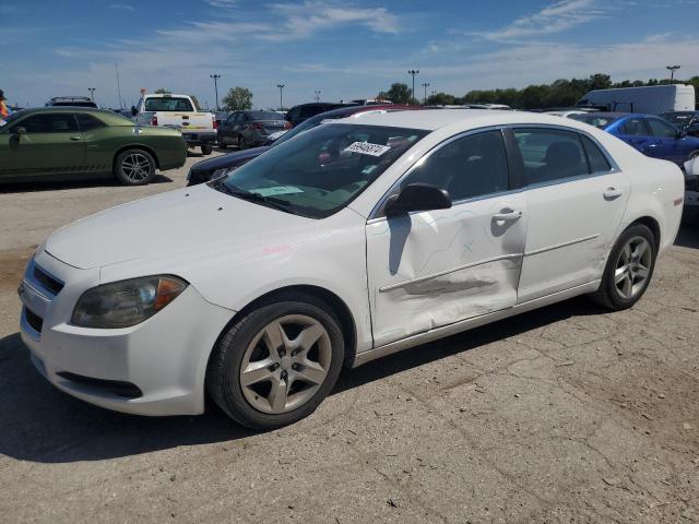 CHEVROLET MALIBU LS 2012 with VIN 1G1ZB5E01CF183653 - Photo from auction