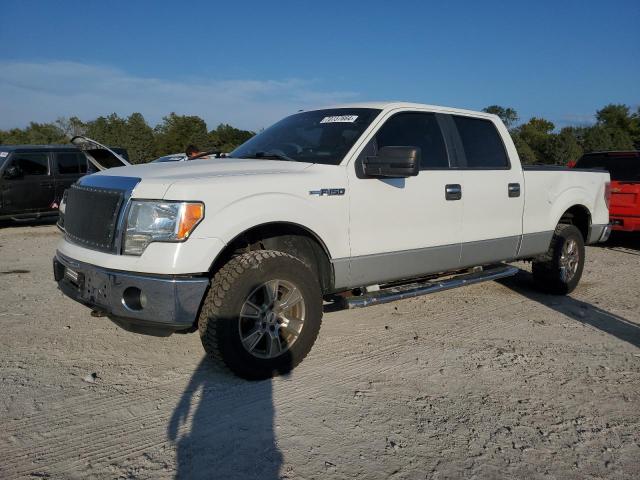 FORD F150 SUPER 2013 with VIN 1FTFW1EF4DFD02048 - Photo from auction