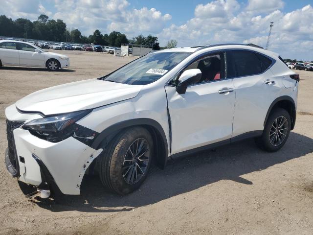 LEXUS NX 250 PRE 2025 with VIN JTJGDCAZXS2018351 - Photo from auction