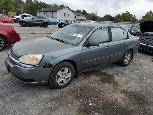 CHEVROLET MALIBU LS 2005 with VIN 1G1ZT54835F326335 - Photo from auction