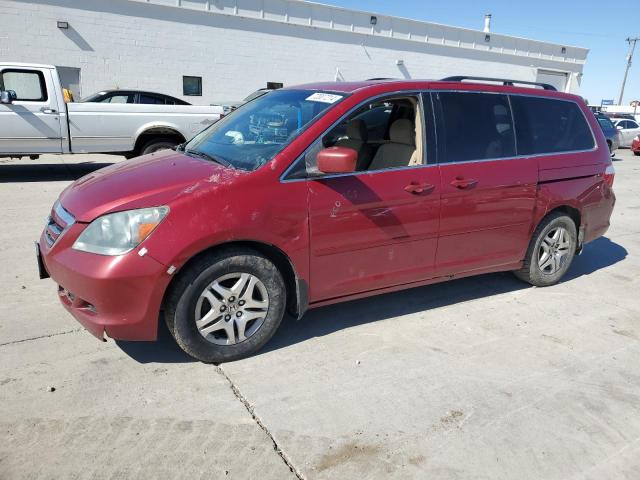 HONDA ODYSSEY EX 2005 with VIN 5FNRL38455B401172 - Photo from auction