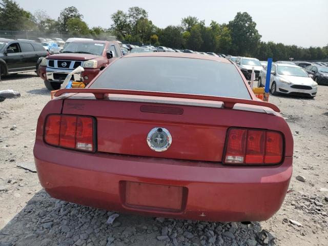 Photo 6 from auction – 2005 FORD MUSTANG with VIN 1ZVFT80N955119930