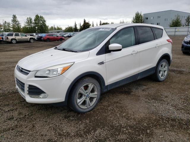 FORD ESCAPE SE 2013 with VIN 1FMCU0GX0DUB40144 - Photo from auction