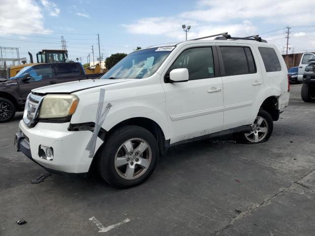 HONDA PILOT EXL 2011 with VIN 5FNYF3H55BB031929 - Photo from auction