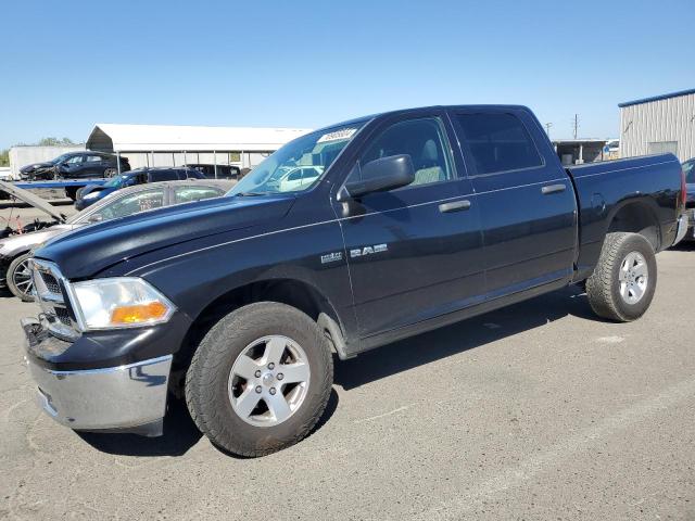 DODGE RAM 1500 2009 with VIN 1D3HV13T39S703794 - Photo from auction