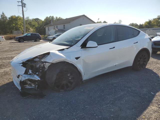 TESLA MODEL Y 2023 with VIN 7SAYGDEEXPA105845 - Photo from auction