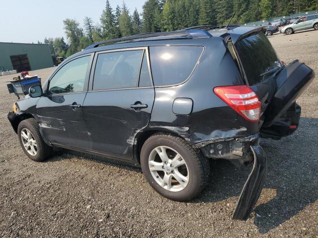 Photo 2 from auction – 2012 TOYOTA RAV4 with VIN JTMBF4DV9C5054523