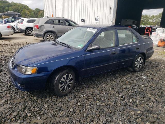 TOYOTA COROLLA CE 2001 with VIN 2T1BR12E61C503892 - Photo from auction