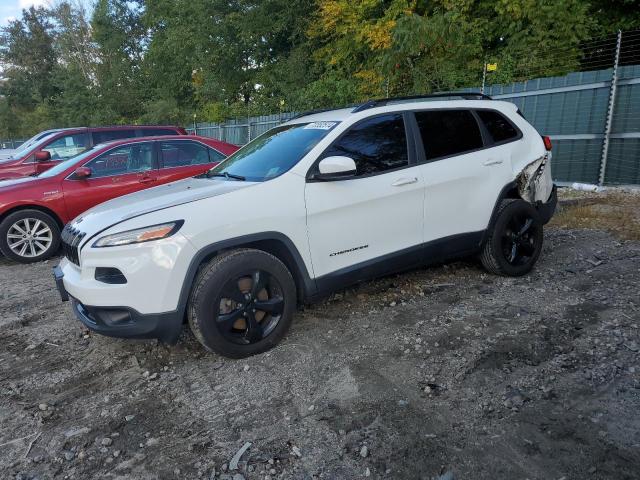 JEEP CHEROKEE L 2016 with VIN 1C4PJMCS4GW203450 - Photo from auction