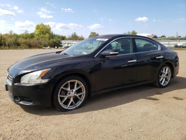 NISSAN MAXIMA S 2010 with VIN 1N4AA5AP1AC840787 - Photo from auction