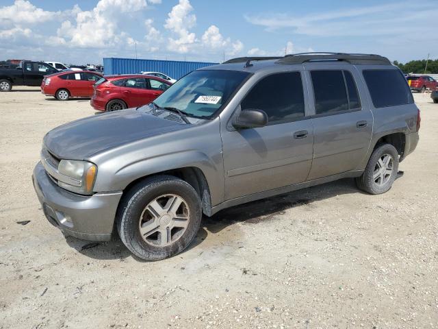 CHEVROLET TRAILBLAZE 2006 with VIN 1GNES16S366172759 - Photo from auction