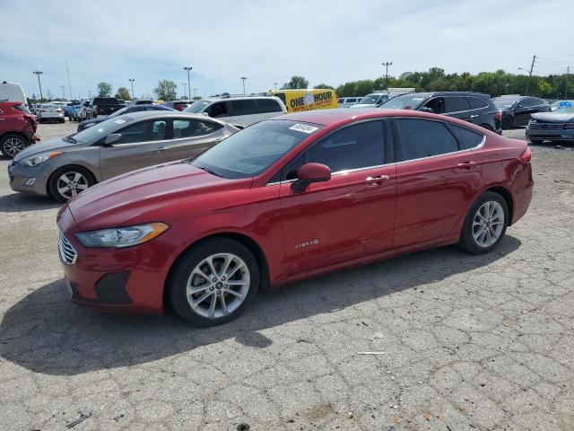 FORD FUSION SE 2019 with VIN 3FA6P0LU7KR187525 - Photo from auction