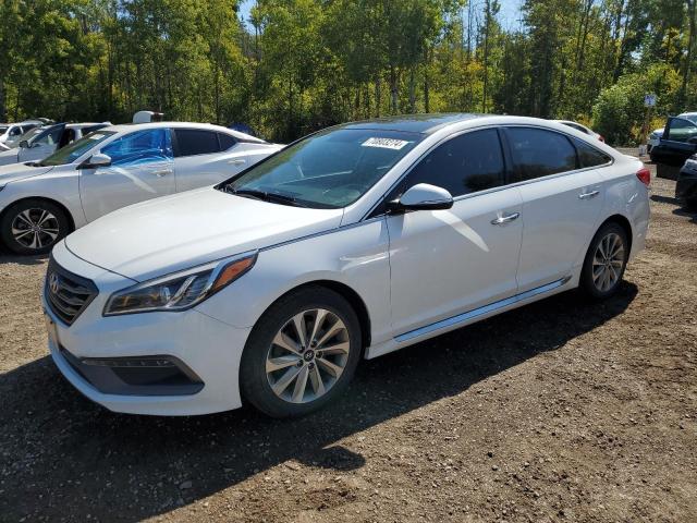 HYUNDAI SONATA SPO 2016 with VIN 5NPE34AF5GH371384 - Photo from auction