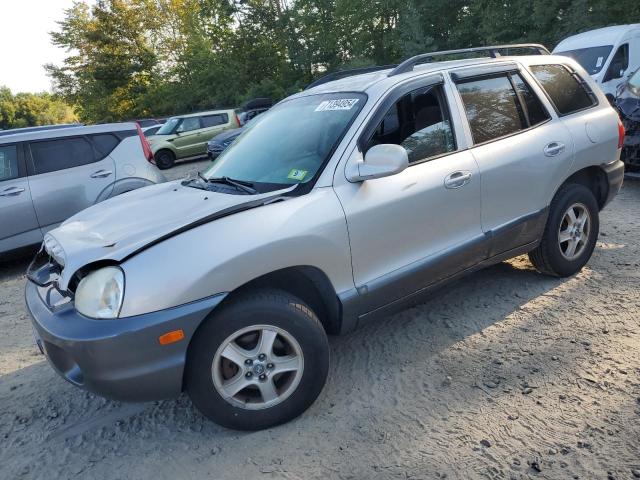 Photo 1 from auction – 2004 HYUNDAI SANTA FE G with VIN KM8SC73D64U670895