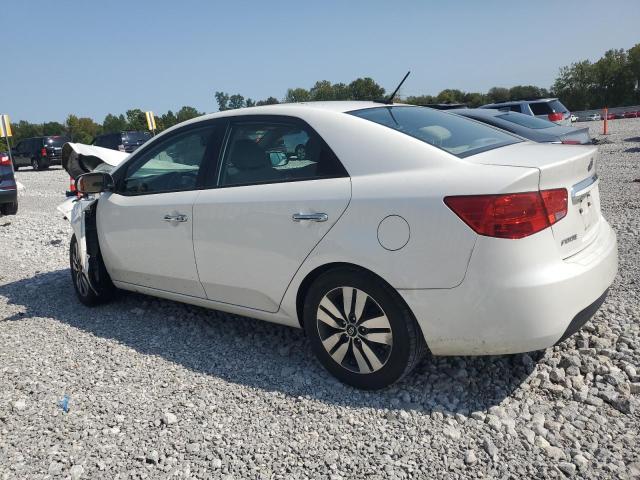 Photo 2 from auction – 2013 KIA FORTE EX with VIN KNAFU4A23D5698678