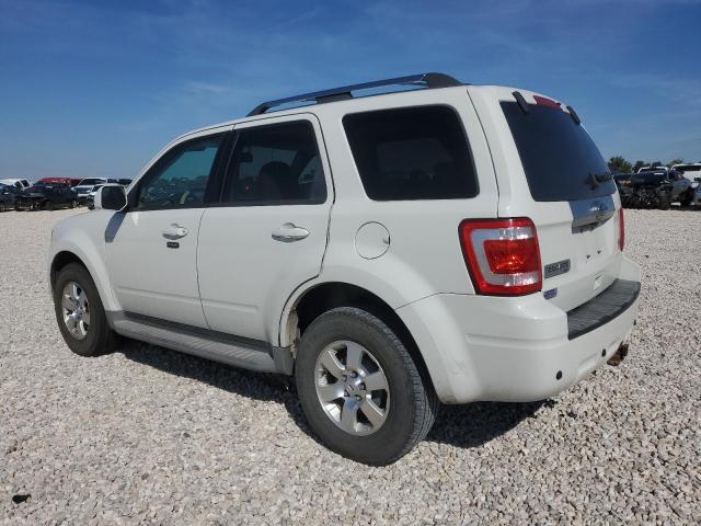 Photo 2 from auction – 2010 FORD ESCAPE LIM with VIN 1FMCU9EG3AKD06641