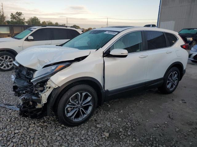 HONDA CR-V EX 2022 with VIN 7FARW2H51NE033426 - Photo from auction