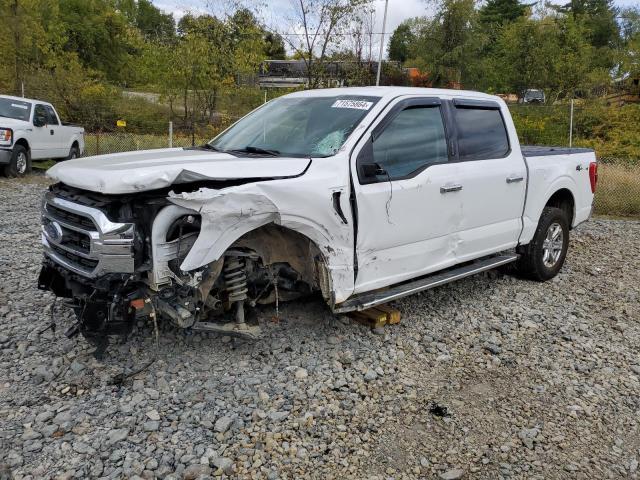 FORD F150 SUPER 2023 with VIN 1FTEW1EB2PKD32878 - Photo from auction