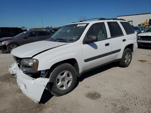 CHEVROLET TRAILBLAZE 2005 with VIN 1GNDT13S952323283 - Photo from auction