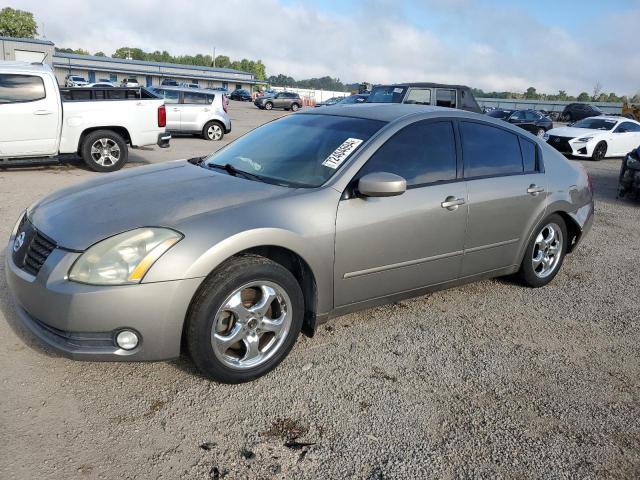 NISSAN MAXIMA SE 2004 with VIN 1N4BA41EX4C875913 - Photo from auction