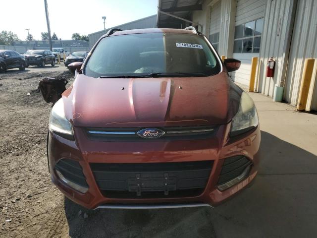 Photo 5 from auction – 2014 FORD ESCAPE SE with VIN 1FMCU0GX0EUA92291