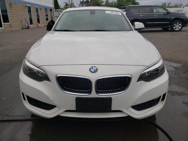 Photo 5 from auction – 2015 BMW 228 XI with VIN WBA1F7C59FVX95674