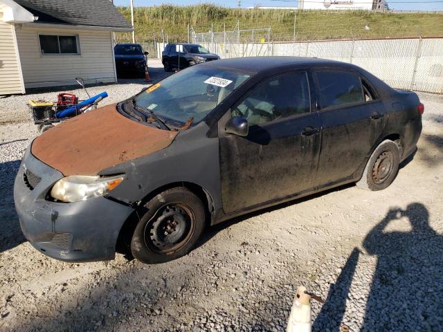 TOYOTA COROLLA BA 2010 with VIN 1NXBU4EE4AZ371497 - Photo from auction