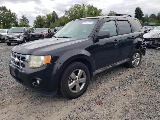 FORD ESCAPE XLT 2011 with VIN 1FMCU9DG3BKA42808 - Photo from auction