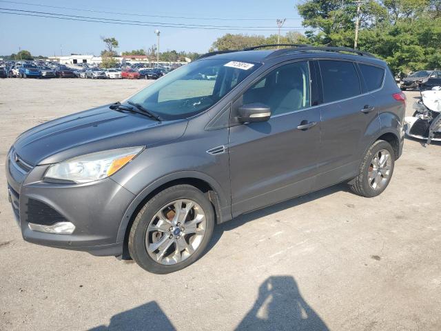 FORD ESCAPE SEL 2013 with VIN 1FMCU9HX5DUA33576 - Photo from auction