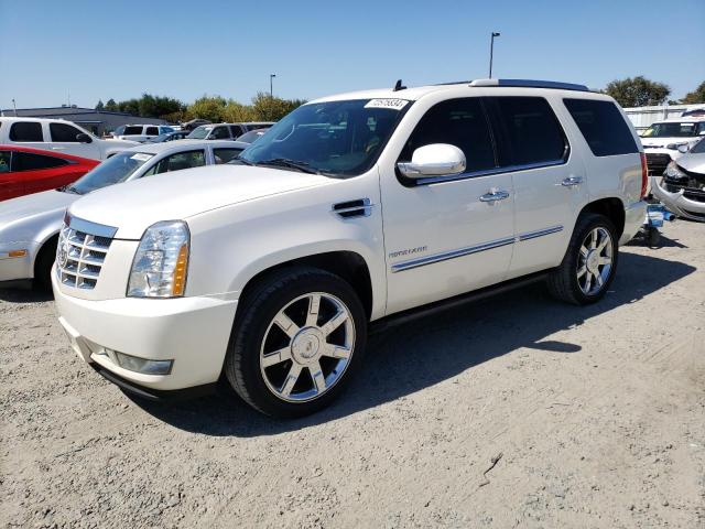 CADILLAC ESCALADE P 2011 with VIN 1GYS4CEF8BR137188 - Photo from auction