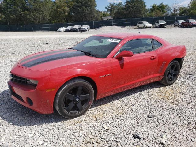CHEVROLET CAMARO LS 2010 with VIN 2G1FA1EV9A9207214 - Photo from auction